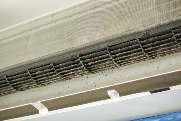 Best Home Air Vent Cleaning  in Keeler Farm, NM